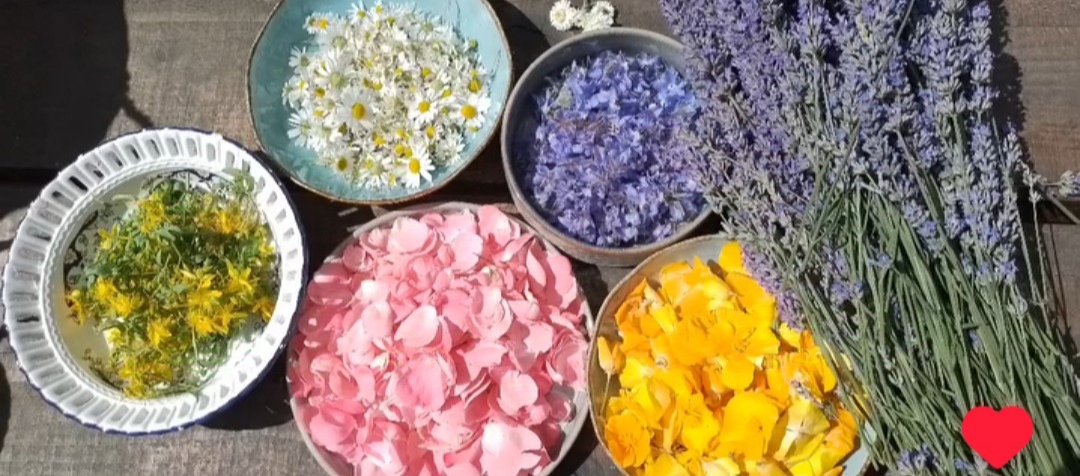 L'atelier de Nature sans T à BEYSSENAC