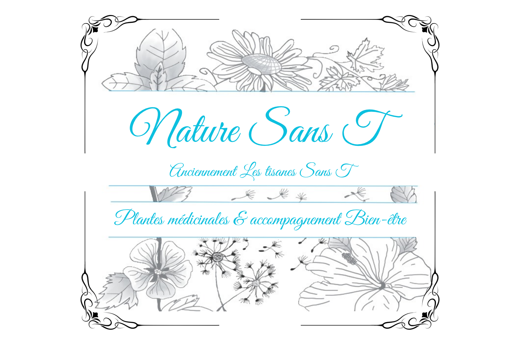 Logo de Nature sans T
