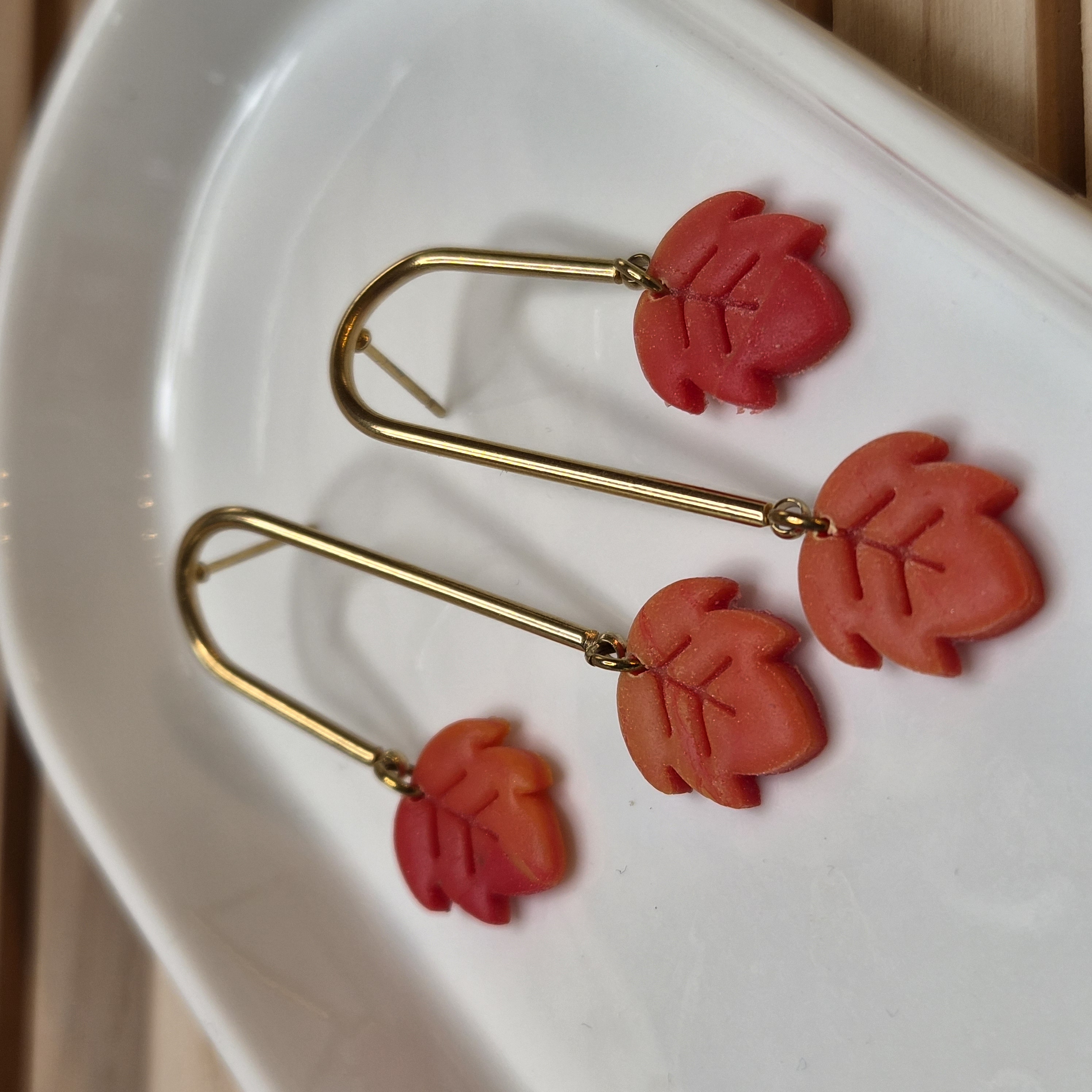 Boucles d'oreilles — visuel 1