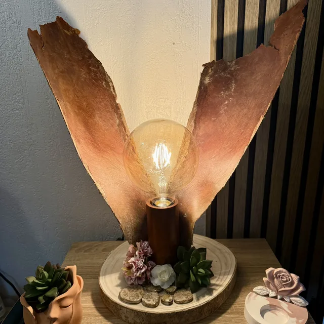 Lampe — vue 1